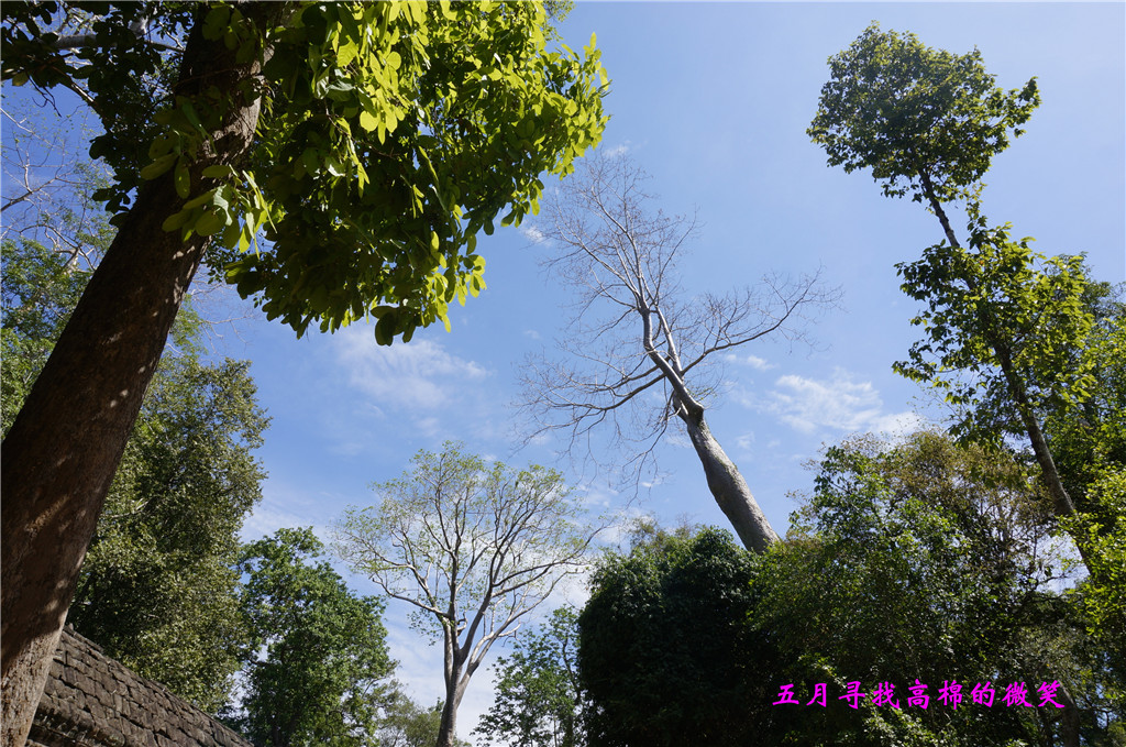_dsc9462_.jpg