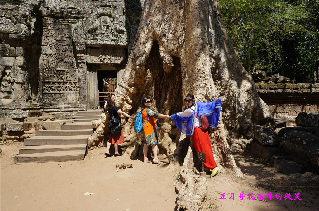 _dsc9470_.jpg
