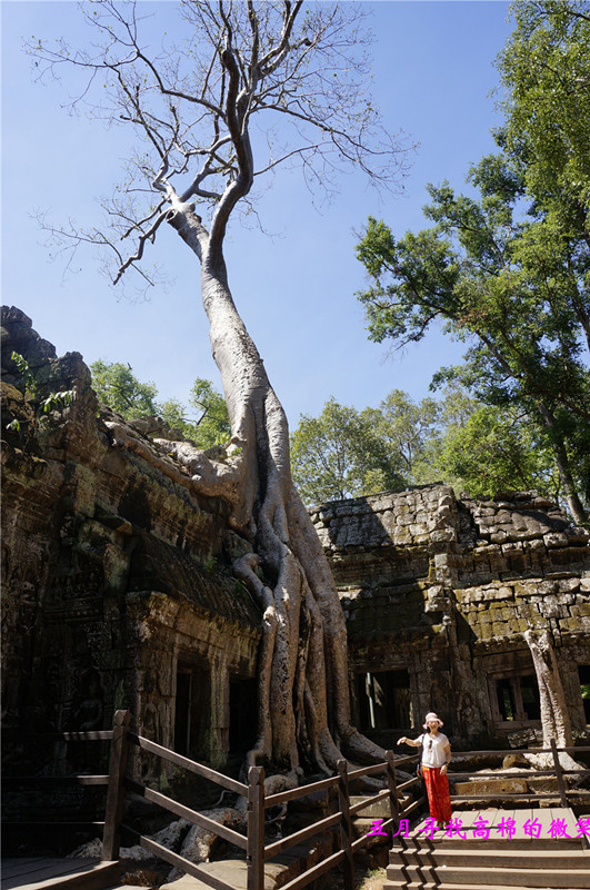_dsc9475_.jpg