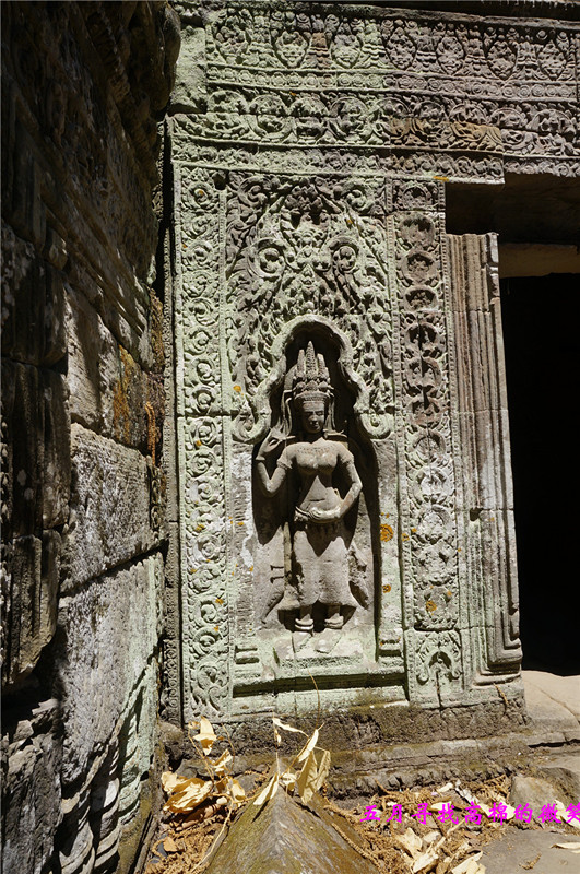 _dsc9532_.jpg
