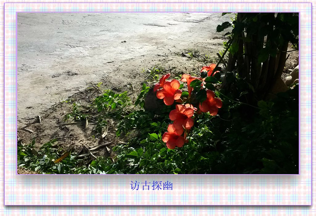 20150610_180843_.jpg