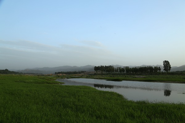 img_1240_.jpg