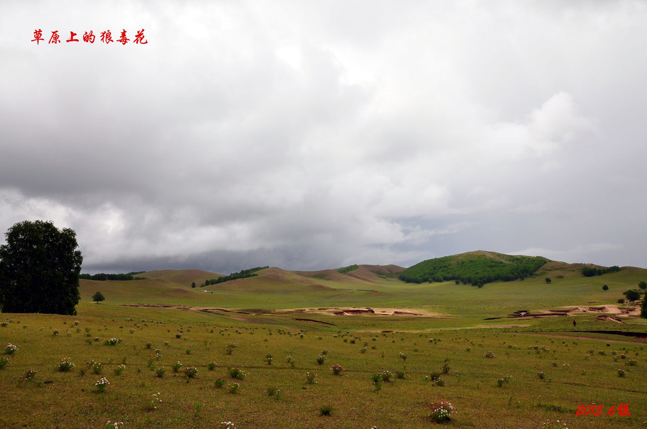 dsc_0991_副本_副本.jpg