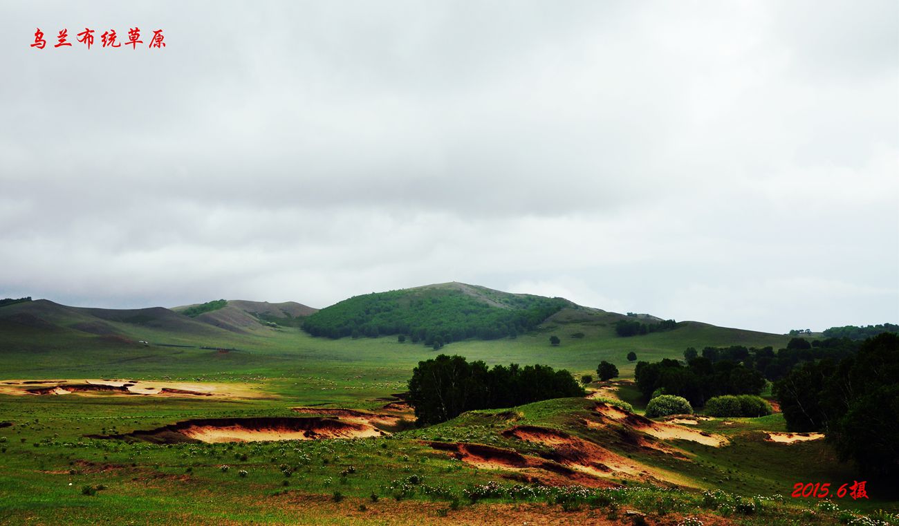 dsc_1001_副本_副本.jpg
