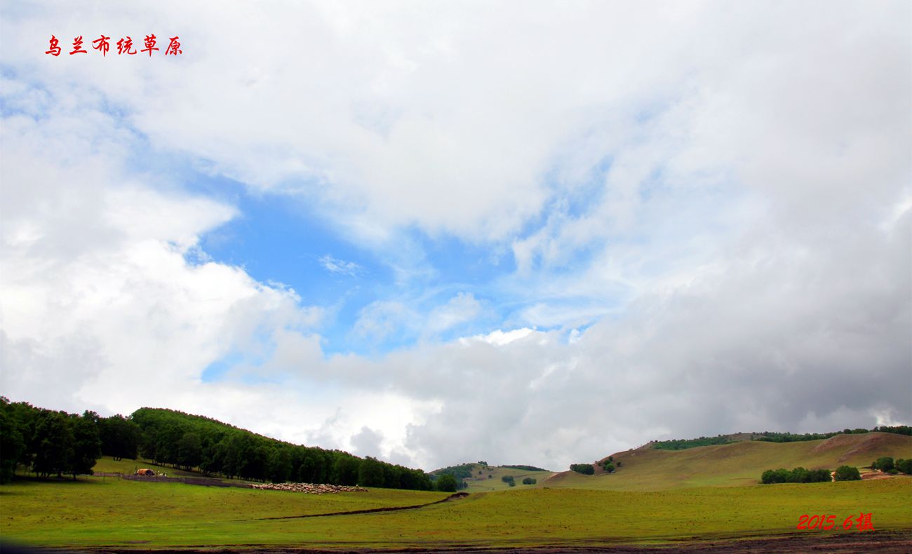 dsc_1013_副本_副本.jpg