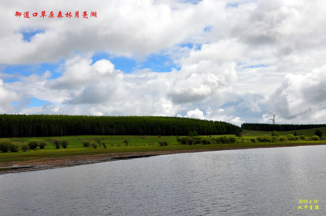 dsc_1251__.jpg