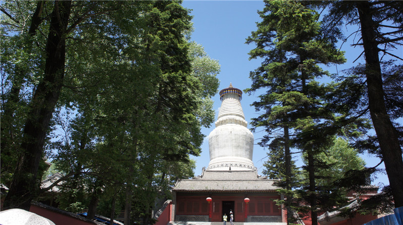 dsc09628_副本.jpg