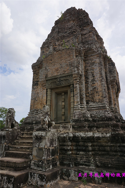 _dsc9663_.jpg