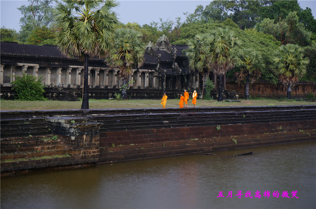 _dsc9684_.jpg