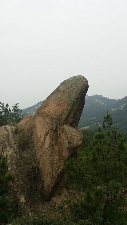 001.jpg