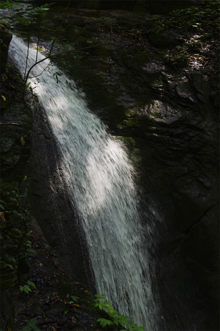 _igp7936_.jpg