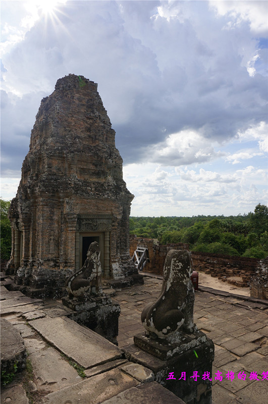 _dsc9658_.jpg