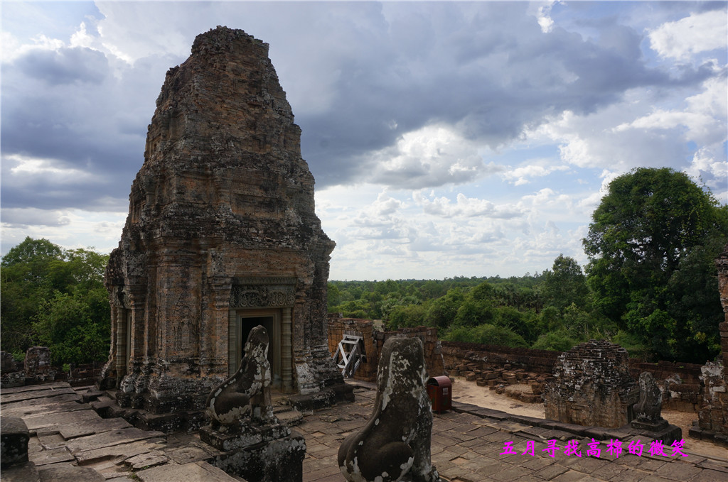 _dsc9659_.jpg