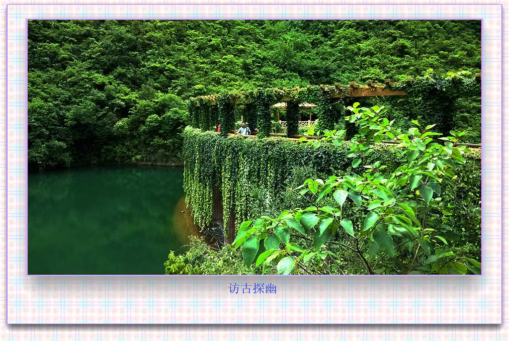 20150612_110248_.jpg