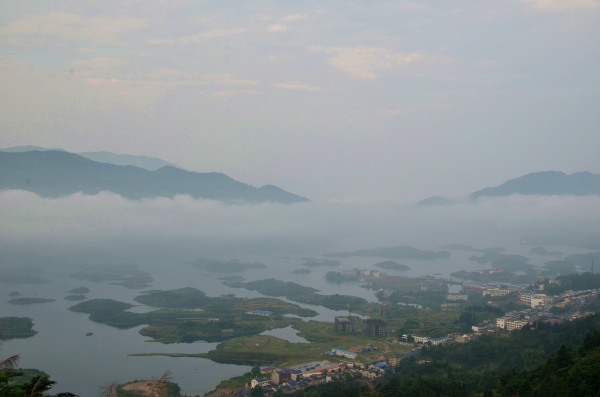 dsc_9738 - 副本_副本.jpg