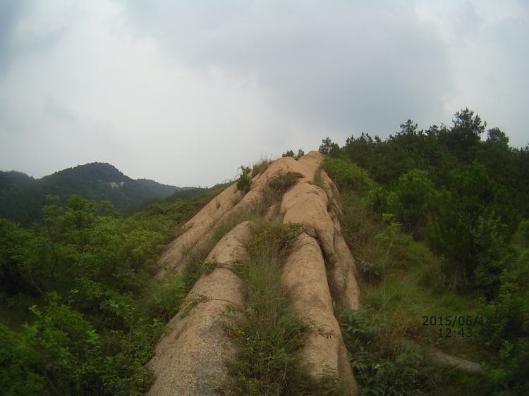 file0064.jpg