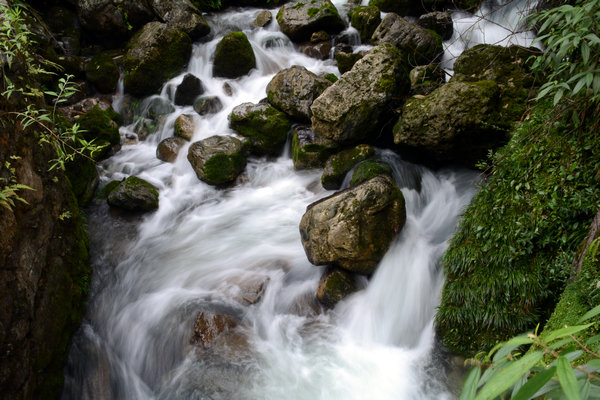 dsc_0184.jpg