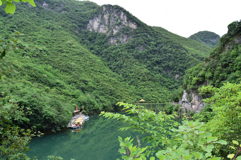 dsc_0819_1.jpg