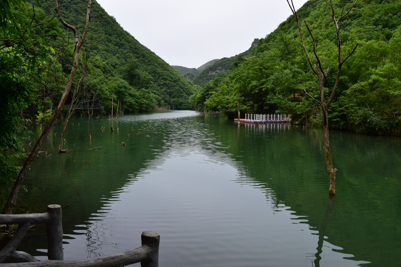 dsc_0930 - 副本_1.jpg