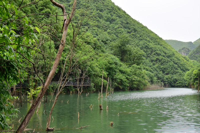 dsc_0933 - 副本_1.jpg