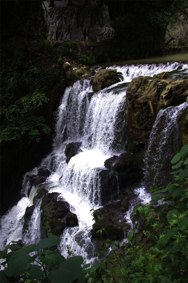 _igp7977.jpg