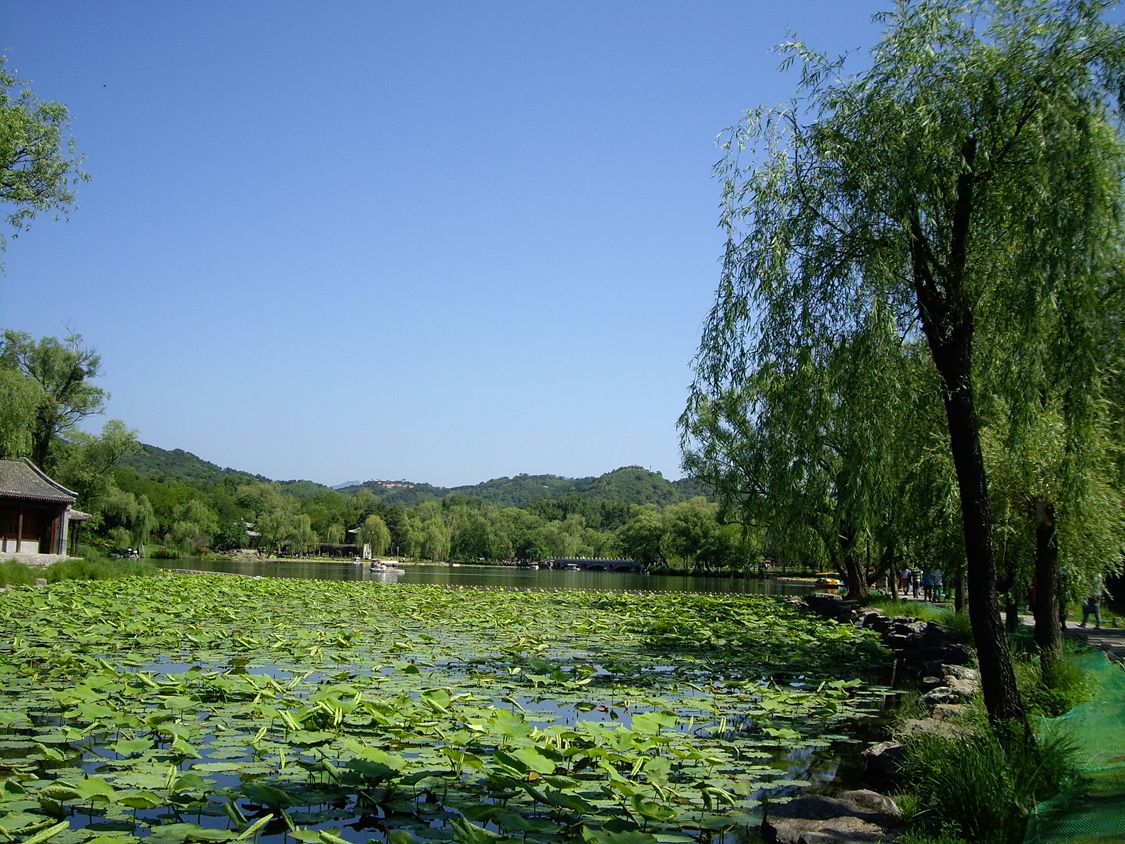 imgp3614_.jpg