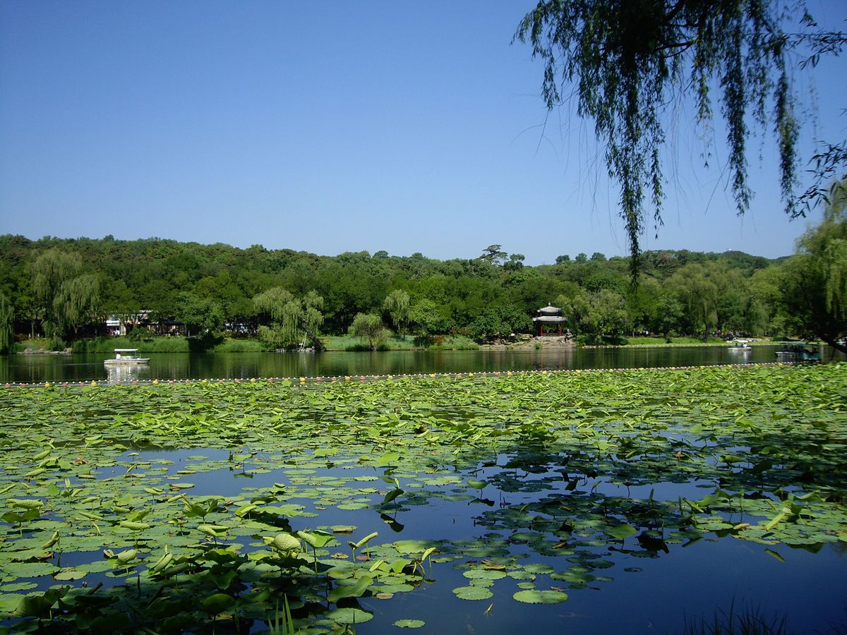 imgp3617.jpg