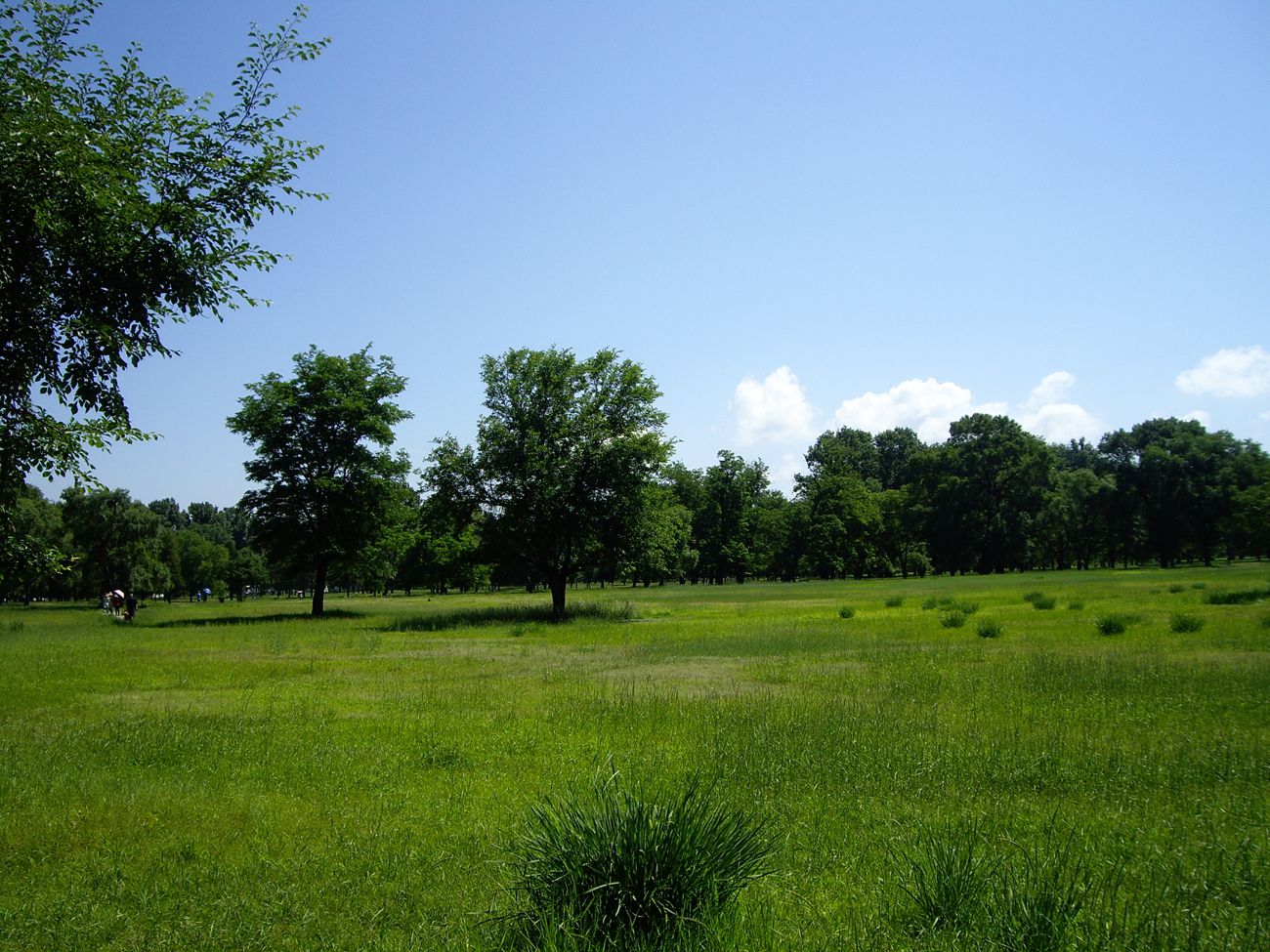 imgp3697.jpg