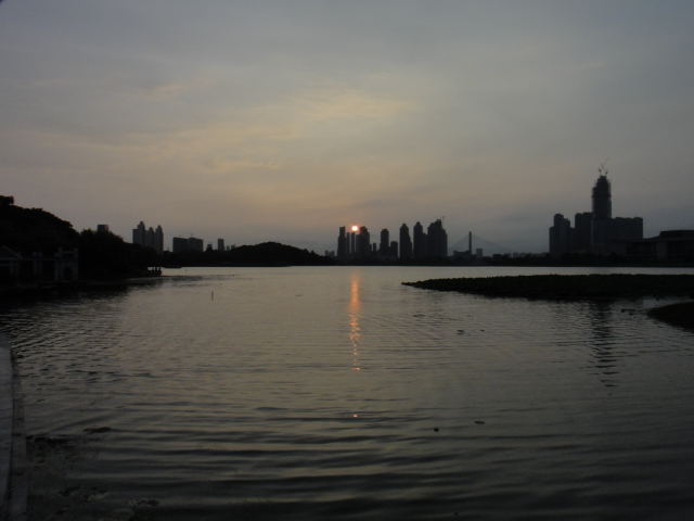 dsc06694.jpg