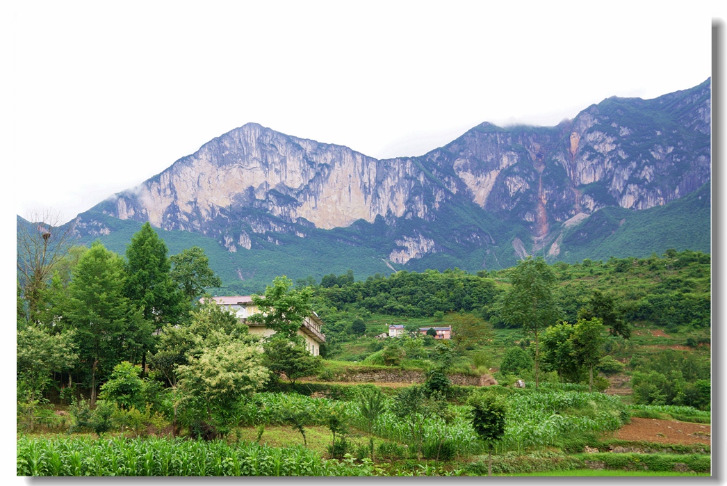 白溢寨3.jpg