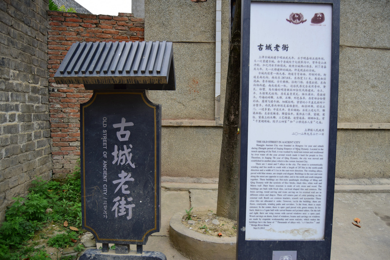 dsc_0982_1.jpg