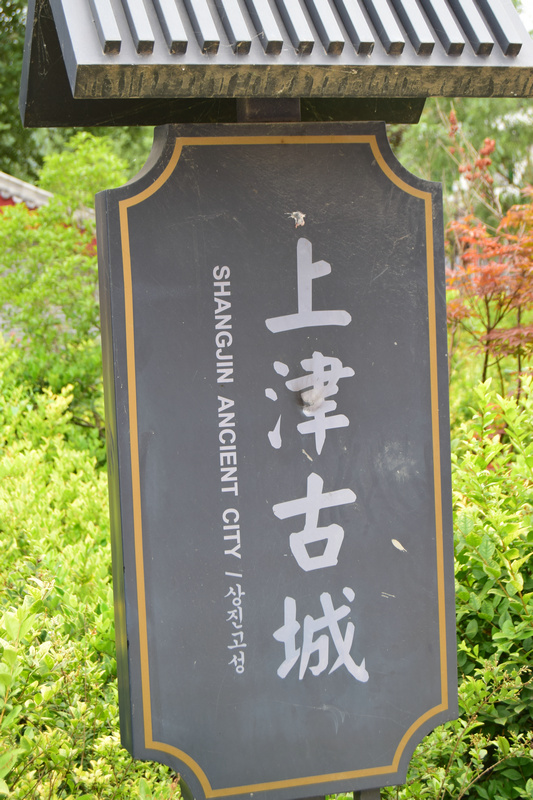 dsc_0964_1.jpg