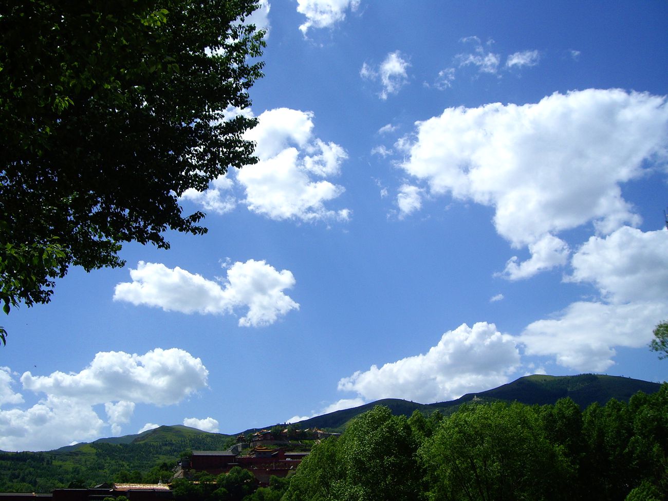 imgp2444_.jpg