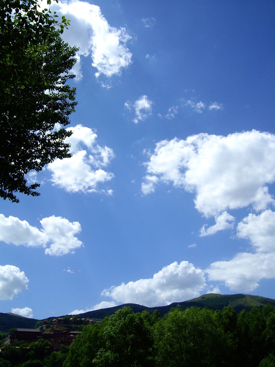 imgp2446_.jpg