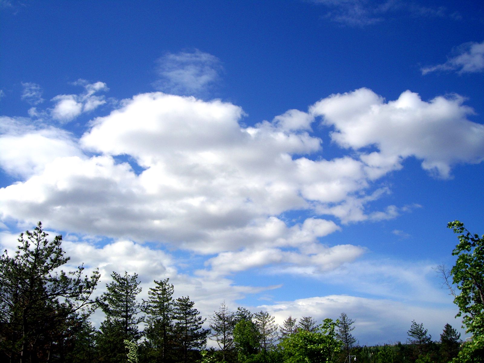 imgp2953_.jpg