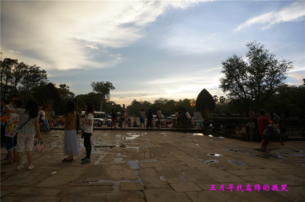 _dsc9790_副本.jpg