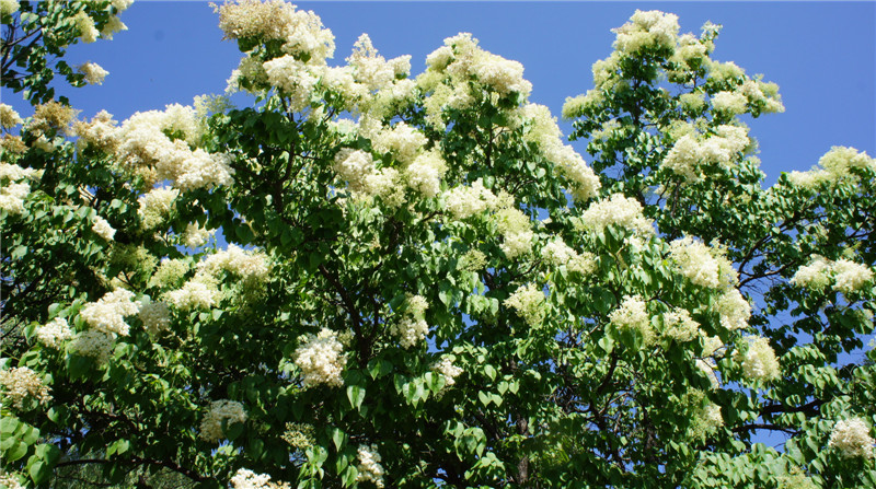 dsc01433_.jpg