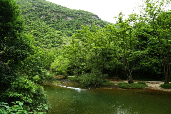 img_1337__.jpg