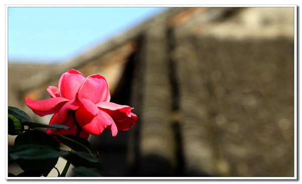 img_1282__.jpg