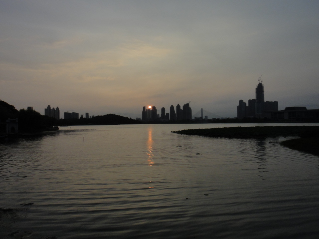 dsc06693.jpg
