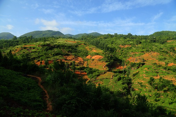 img_1603_副本.jpg