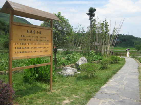 毛小道 .jpg