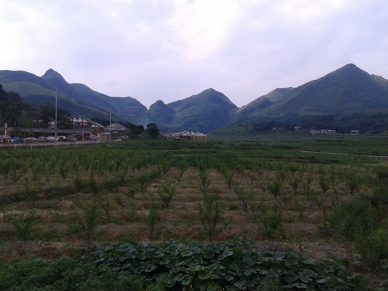山景3.jpg