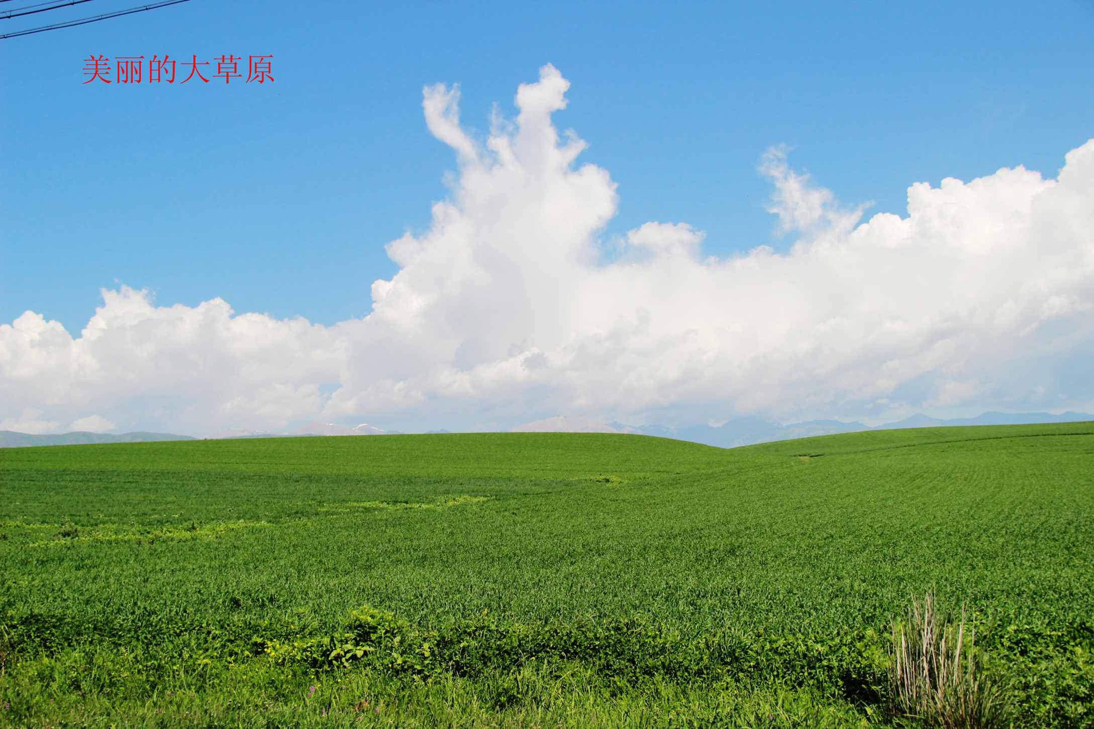南疆行摄 200.jpg