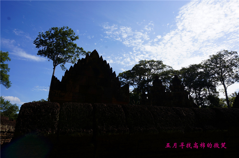 _dsc9864_.jpg