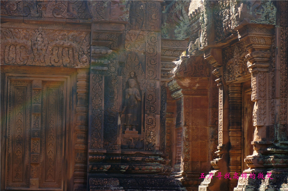 _dsc9860_.jpg