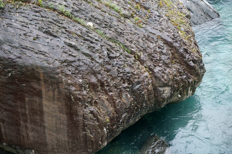 dsc06345_.jpg