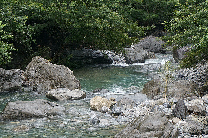 dsc06346_.jpg