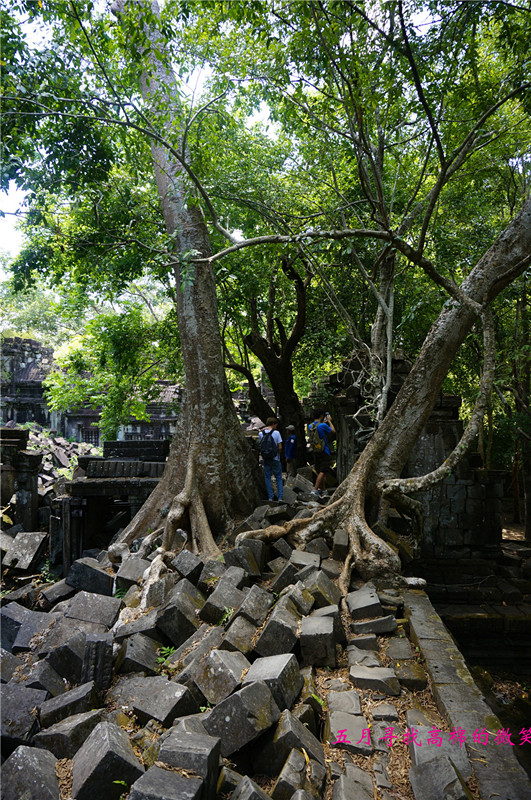 _dsc9968_.jpg