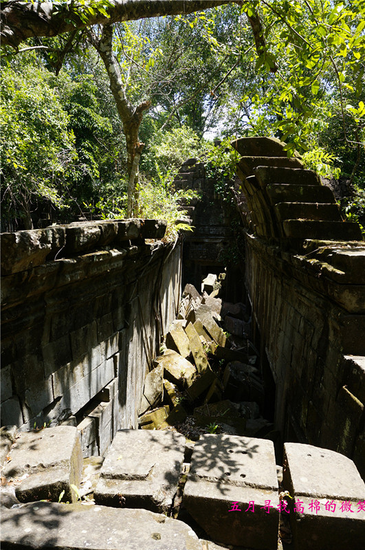 _dsc9974_.jpg